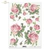 rose, roses, flower, flowers, bouquet, bouquets, R425